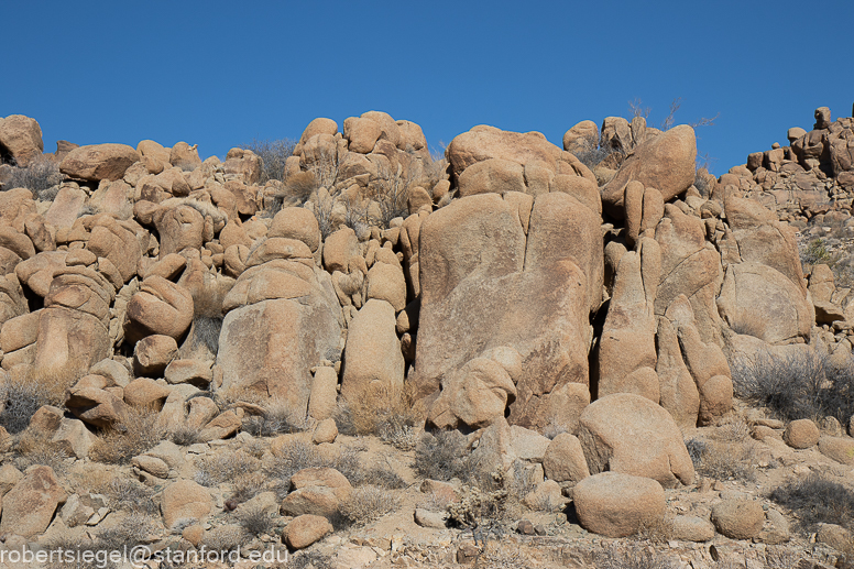 Joshua Tree National Park